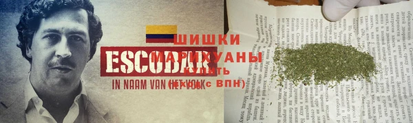 apvp Лиски