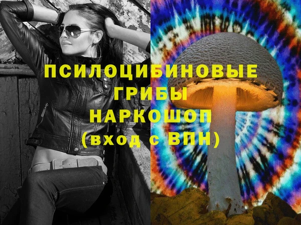 apvp Лиски