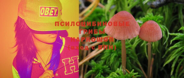 apvp Лиски