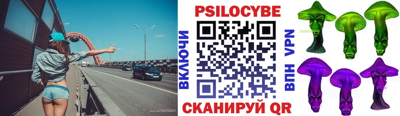 закладки  Могоча  Псилоцибиновые грибы ЛСД 